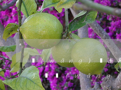 網(wǎng)貸逾期征信多久會(huì)銷(網(wǎng)貸逾期多久會(huì)上報(bào)征信)
