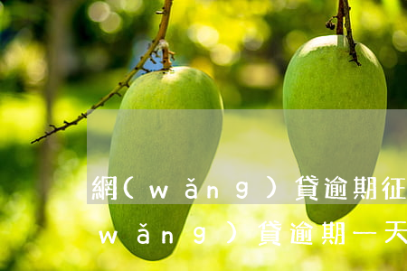 網(wǎng)貸逾期征信多久清一次(網(wǎng)貸逾期一天上征信)