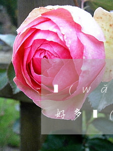 網(wǎng)貸逾期征信怎么顯示(征信上好多網(wǎng)貸記錄,但沒逾期)