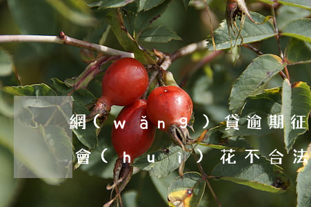 網(wǎng)貸逾期征信會(huì)不會(huì)花(不合法的網(wǎng)貸逾期會(huì)上征信嗎?)
