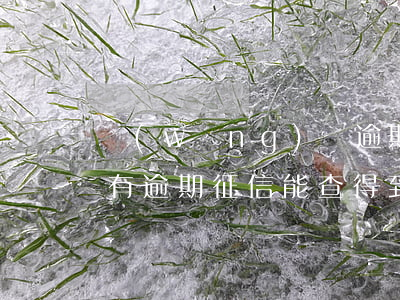 網(wǎng)貸逾期征信沒有記錄(如果沒有逾期征信能查得到網(wǎng)貸嗎)
