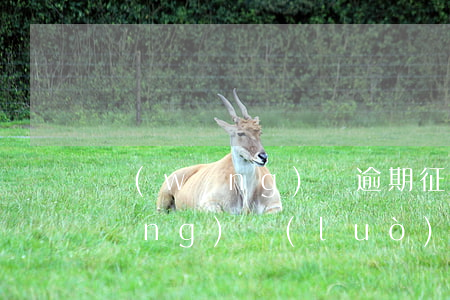 網(wǎng)貸逾期征信能屏蔽嗎(網(wǎng)絡(luò)貸逾期影響征信能消除)
