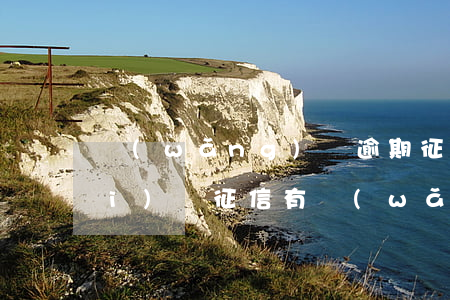 網(wǎng)貸逾期征信能查出來(lái)嗎(征信有網(wǎng)貸逾期記錄)