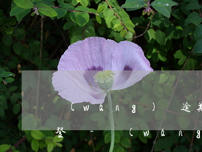 網(wǎng)貸逾期很久換了新號碼怎么登陸-網(wǎng)貸逾期很久換了新號碼怎么登陸不了