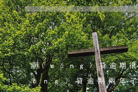 網(wǎng)貸逾期很多天臉皮厚(網(wǎng)貸逾期兩年了現(xiàn)在很害怕)