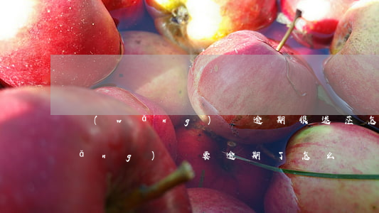 網(wǎng)貸逾期很迷茫怎么辦(網(wǎng)貸要逾期了怎么辦)