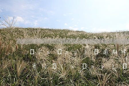 網(wǎng)貸逾期律師事務(wù)所寄信(網(wǎng)貸逾期律師事務(wù)所寄信)