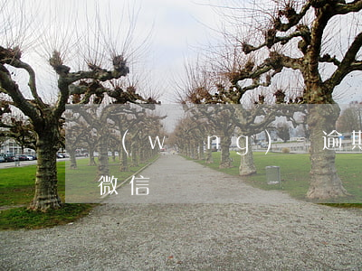 網(wǎng)貸逾期律師來(lái)加微信