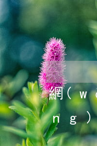 網(wǎng)貸逾期律師函件-網(wǎng)貸逾期收到律師函該怎么辦