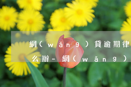 網(wǎng)貸逾期律師函寄到我公司怎么辦-網(wǎng)貸逾期律師函寄到我公司怎么辦理