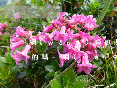 網(wǎng)貸逾期律師函寄戶籍地是真的嗎-網(wǎng)貸逾期律師函寄戶籍地是真的嗎嗎