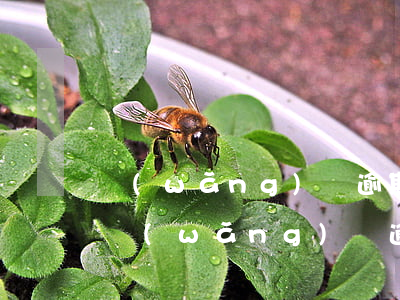 網(wǎng)貸逾期律師加微信是真的嗎（網(wǎng)貸逾期他們會加微信好友嗎）
