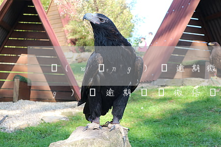 網(wǎng)貸逾期微信好友(網(wǎng)貸逾期會報微信嗎)