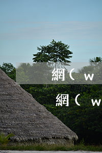 網(wǎng)貸逾期微信支付功能(信用卡網(wǎng)貸逾期微信還能用嗎)