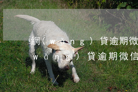 網(wǎng)貸逾期微信零錢被凍結(網(wǎng)貸逾期微信零錢被凍結需要多久解凍)