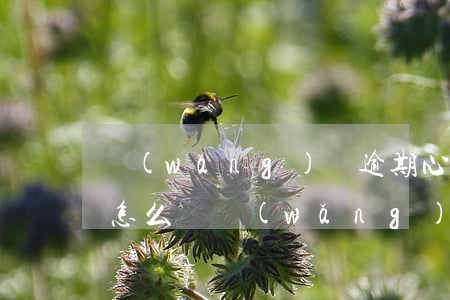 網(wǎng)貸逾期心態(tài)崩潰怎么辦(網(wǎng)貸逾期心態(tài)崩潰怎么辦)