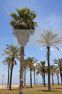 網(wǎng)貸逾期心理負(fù)擔(dān)太大(網(wǎng)貸逾期后果嚴(yán)重嗎)