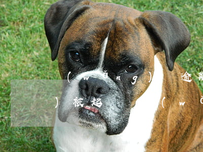 網(wǎng)貸逾期快兩年了會(huì)被起訴嗎(網(wǎng)貸逾期二年會(huì)不會(huì)被起訴)