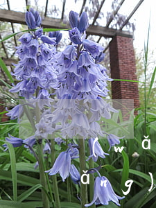 網(wǎng)貸逾期快遞上會寫嗎(網(wǎng)貸逾期寄的什么快遞)