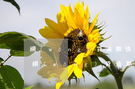 網(wǎng)貸逾期快遞律師函是真嗎的(網(wǎng)貸逾期律師函是快遞過來的嗎)