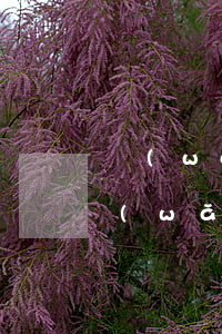 網(wǎng)貸逾期怎么不讓打通訊錄(網(wǎng)貸逾期撥打通訊錄違法嗎)