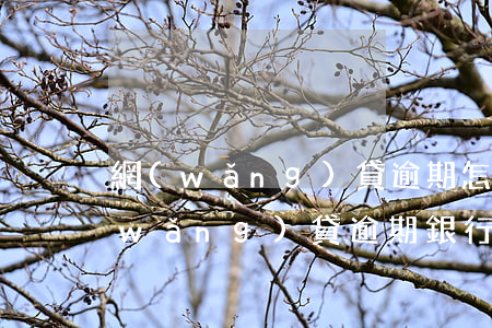 網(wǎng)貸逾期怎么使用銀行卡(網(wǎng)貸逾期銀行卡還能用嗎)