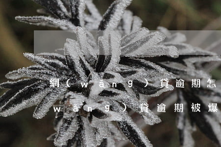 網(wǎng)貸逾期怎么保護通訊錄(網(wǎng)貸逾期被爆通訊錄了怎么辦?幾招教你怎么處理...)