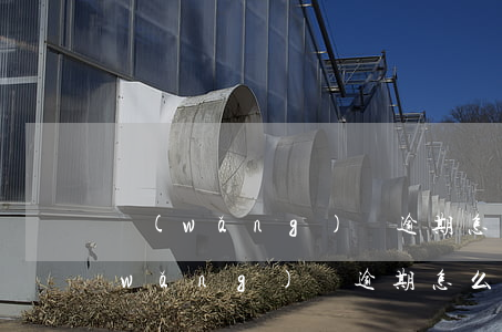 網(wǎng)貸逾期怎么停息掛賬-網(wǎng)貸逾期怎么停息掛賬呢