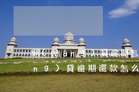 網(wǎng)貸逾期怎么催欠款(網(wǎng)貸逾期還款怎么辦)