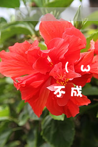 網(wǎng)貸逾期怎么協(xié)商不成(網(wǎng)貸逾期怎么協(xié)商不成)