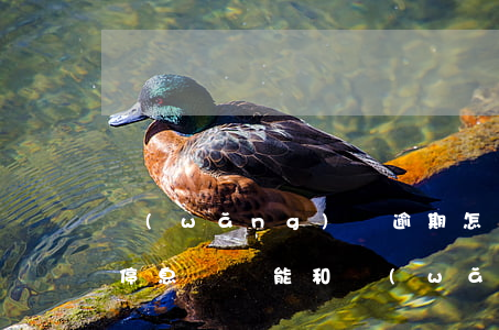 網(wǎng)貸逾期怎么協(xié)商停息掛賬(能和網(wǎng)貸平臺協(xié)商停息掛賬嗎)