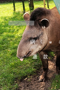 網(wǎng)貸逾期怎么協(xié)商還款