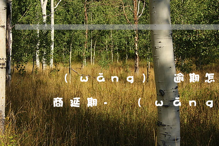 網(wǎng)貸逾期怎么去協(xié)商延期-網(wǎng)貸逾期怎么去協(xié)商延期還款