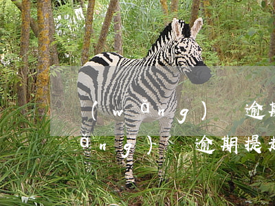 網(wǎng)貸逾期怎么可以起訴 網(wǎng)貸逾期提起訴訟了怎么辦
