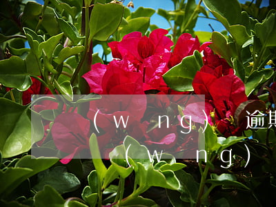 網(wǎng)貸逾期怎么可繼續(xù)貸(網(wǎng)貸要逾期了怎么辦)