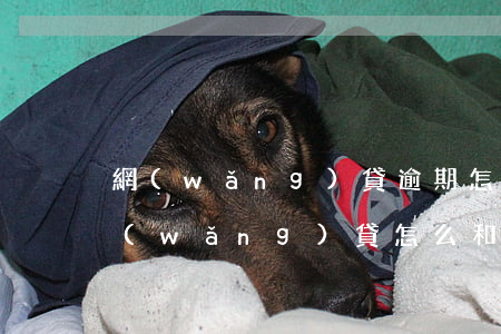 網(wǎng)貸逾期怎么和家人說(借了網(wǎng)貸怎么和家人說)