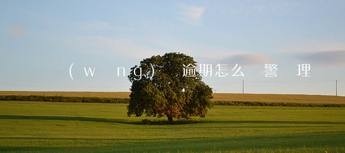 網(wǎng)貸逾期怎么報警處理