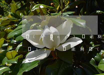 網(wǎng)貸逾期怎么套新信息(網(wǎng)貸逾期發(fā)信息給上門)