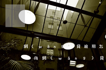 網(wǎng)貸逾期怎么委托協(xié)商(網(wǎng)貸逾期能協(xié)商分期處理嘛)