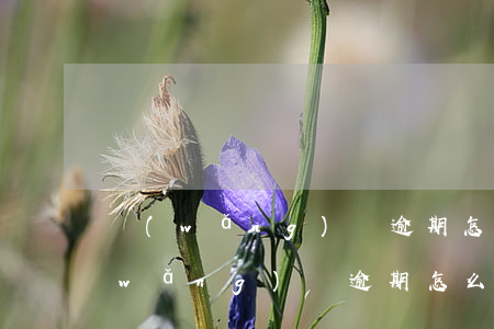 網(wǎng)貸逾期怎么延期一年-網(wǎng)貸逾期怎么延期一年