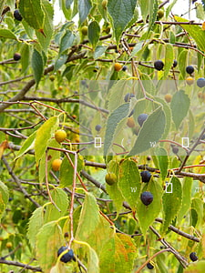網(wǎng)貸逾期怎么應付家人(本人網(wǎng)貸逾期會影響家人嗎)