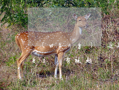 網(wǎng)貸逾期怎么才知道有沒(méi)有被起訴(網(wǎng)貸逾期怎么看有沒(méi)有被起訴)