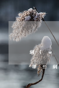 網(wǎng)貸逾期怎么才能還上(逾期了哪些網(wǎng)貸還能過)