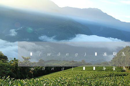 網(wǎng)貸逾期怎么才能還本金(網(wǎng)貸還本金怎么還)