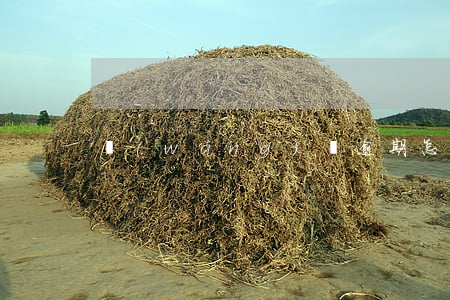 網(wǎng)貸逾期怎么找律師函