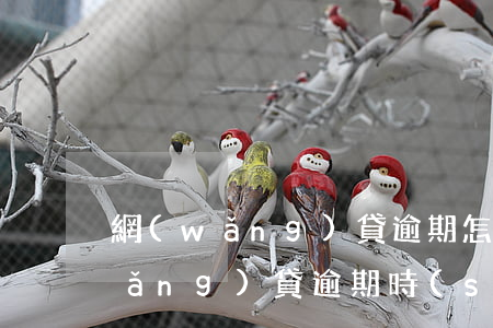 網(wǎng)貸逾期怎么拖延幾天(網(wǎng)貸逾期時(shí)間長了最后怎么解決)