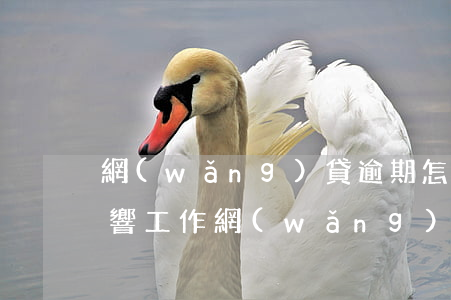 網(wǎng)貸逾期怎么會(huì)影響工作(網(wǎng)貸逾期了會(huì)有什么影響)