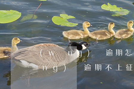網(wǎng)貸逾期怎么查上征信(網(wǎng)貸逾期不上征信銀行可以查到嗎)