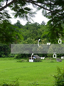 網(wǎng)貸逾期怎么查到的新公司 網(wǎng)貸逾期怎么查到的新公司