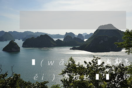 網(wǎng)貸逾期怎么查自己有沒(méi)有被起訴(網(wǎng)貸欠款怎么查詢是否被起訴)
